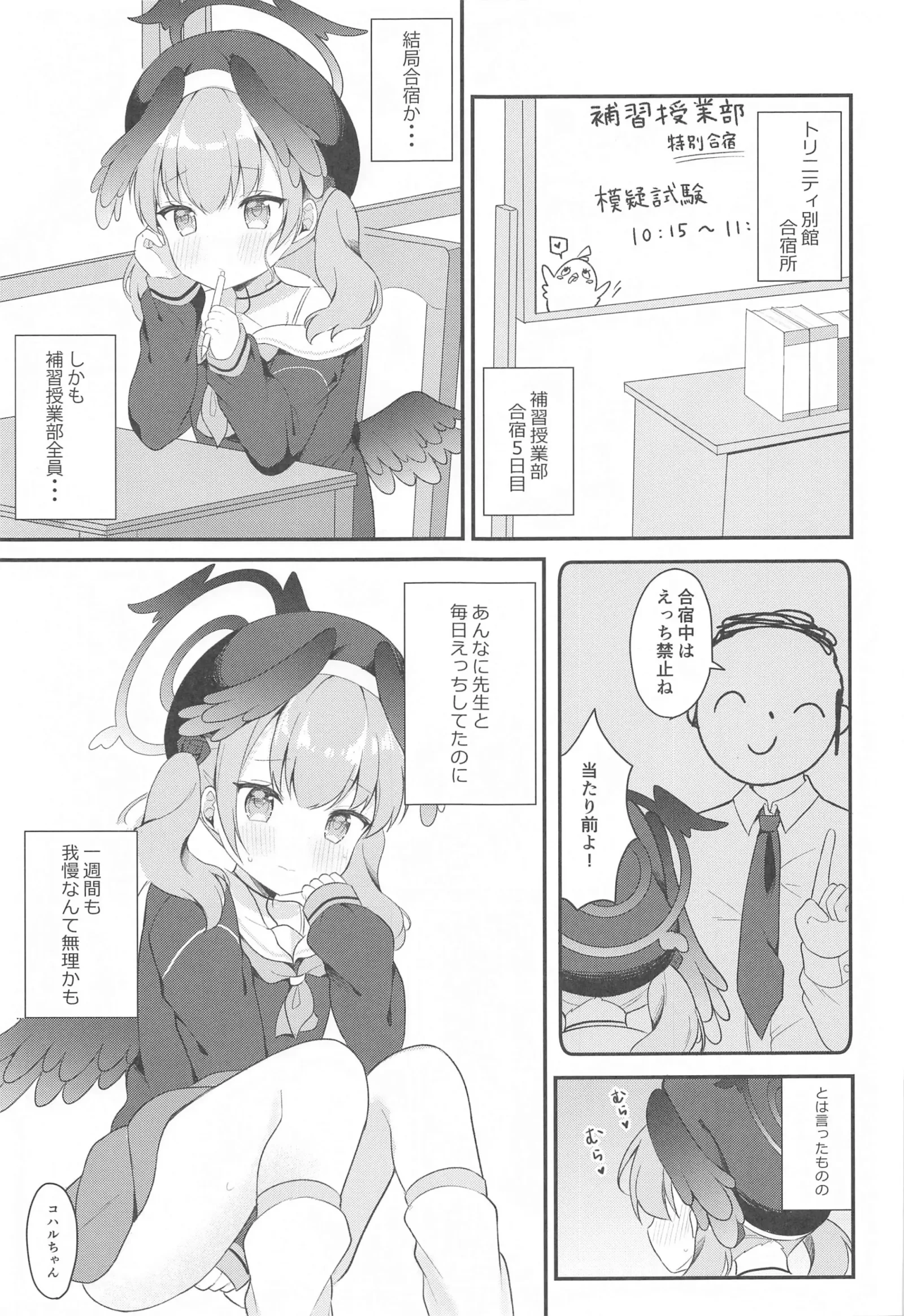 HB4654-P5