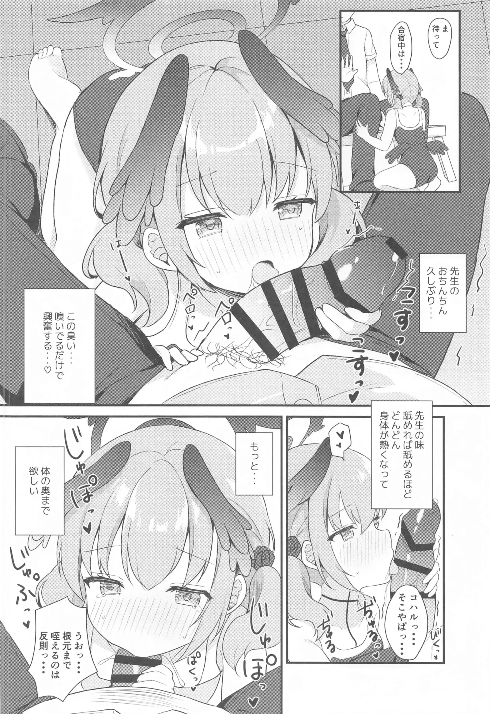 HB4654-P10