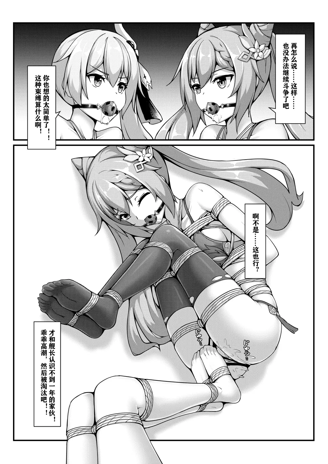 HB4530-P16