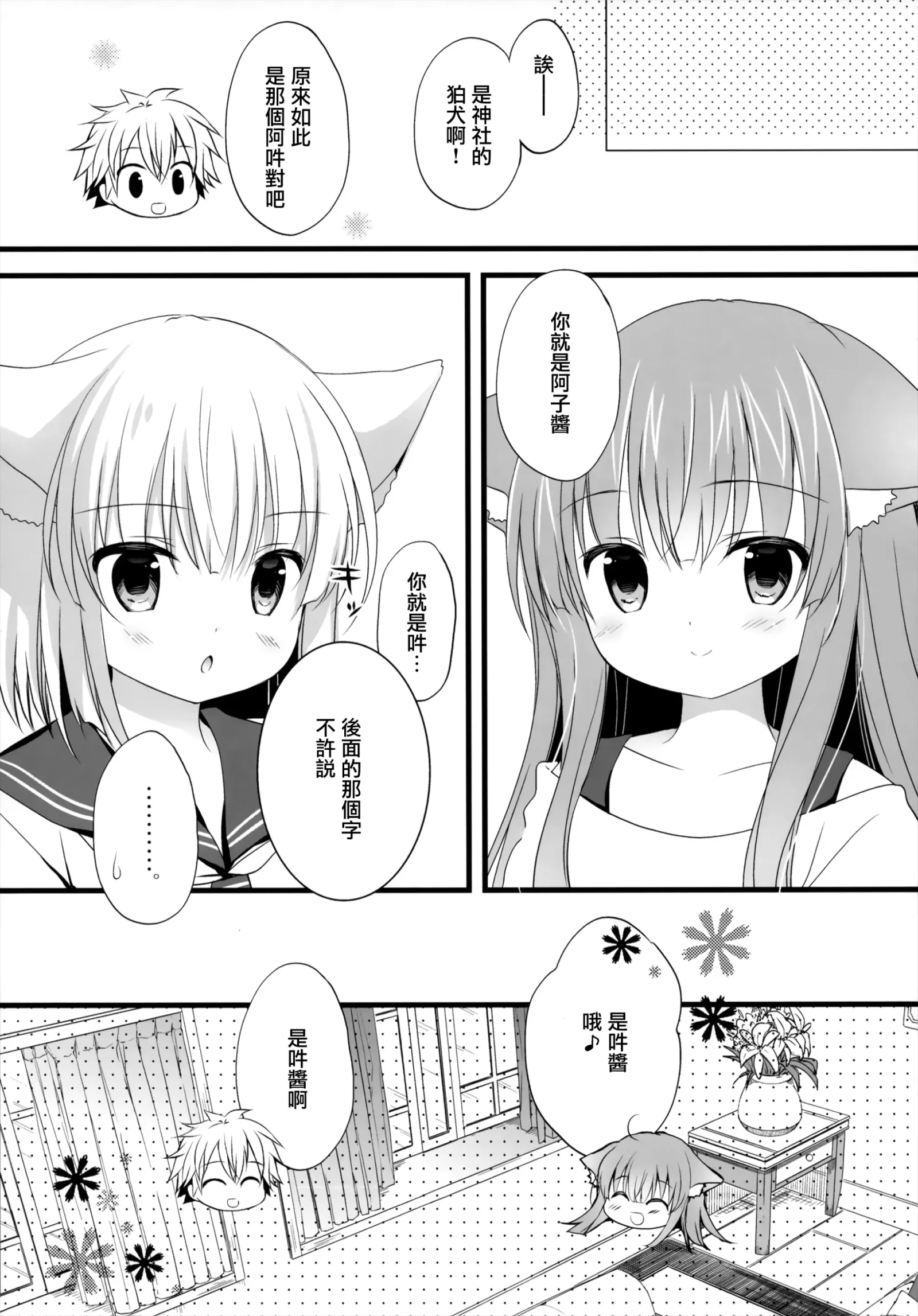 HB806-P11